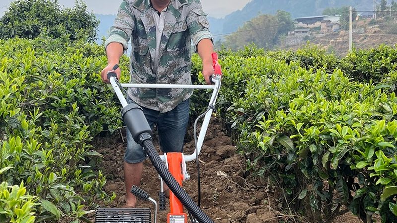 大型植保无人机租赁，如何选择性价比之最？**